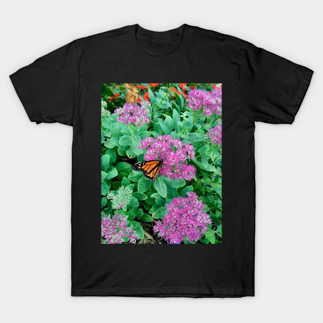 Monarch Butterfly Garden T-Shirt by KT